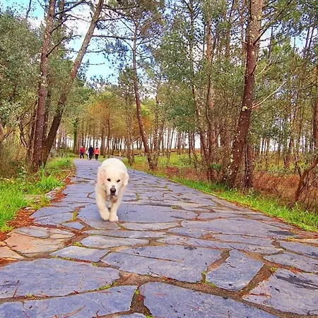 El Mirador De Playa Langosteira, Apartman Finisterre