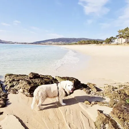 El Mirador De Playa Langosteira, Apartman Finisterre