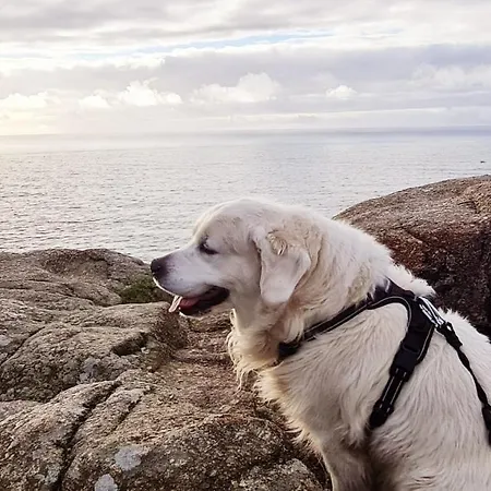 El Mirador De Playa Langosteira, Appartement *