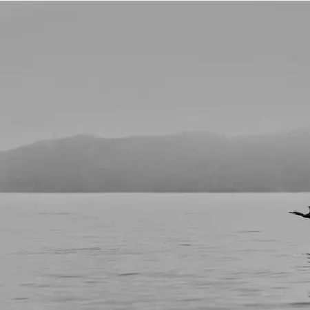 El Mirador De Playa Langosteira, Appartement *