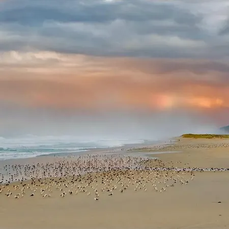 El Mirador De Playa Langosteira, * Finisterra