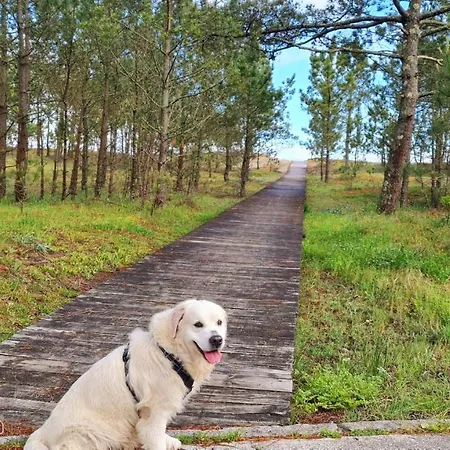 Apartment El Mirador De Playa Langosteira,