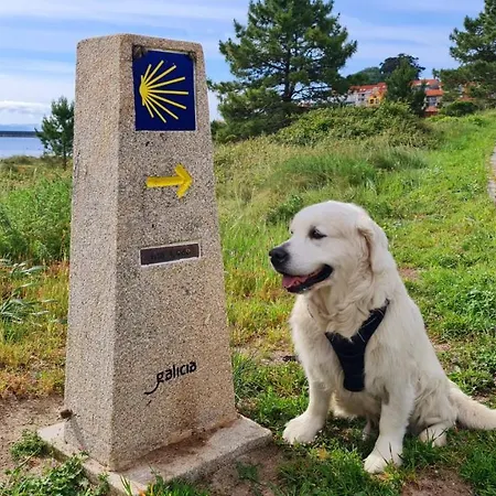 El Mirador De Playa Langosteira, Apartment Finisterre